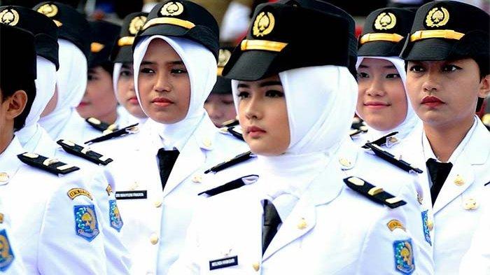 Mengukur Kesiapan Masuk Sekolah Kedinasan dengan Tryout Online PKN STAN Terpercaya