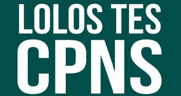 Kisah Sukses CPNS 2026, Dari Pejuang NIP, Raih Impian!