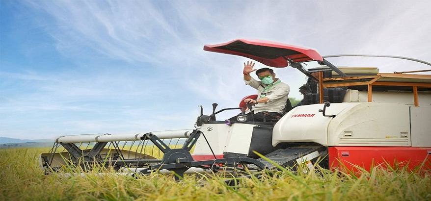 Cegah Kerugian Petani Modern Pakai Startup Penyuluh Pertanian Terbaru dari Pohaci